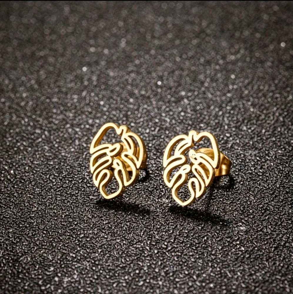 Stainless steel earrings gold New NWT